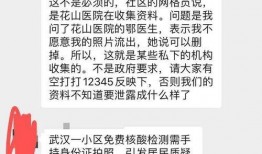武汉核酸最新爆料消息,揭秘病毒检测背后的真相与挑战