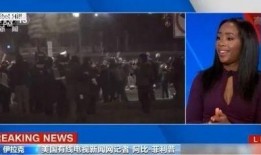 迪拜爆料网赌事件视频最新,揭秘奢华背后的赌博陷阱